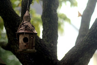 247 - Sept 4th - Birdhouse