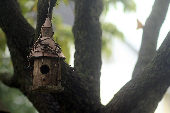 247 - Sept 4th - Birdhouse