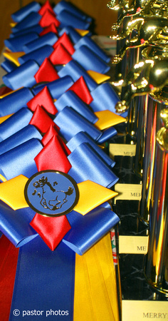1212 ~ Year End Ribbons