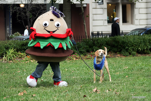264 - Sept 21st - Burger Man and Dog