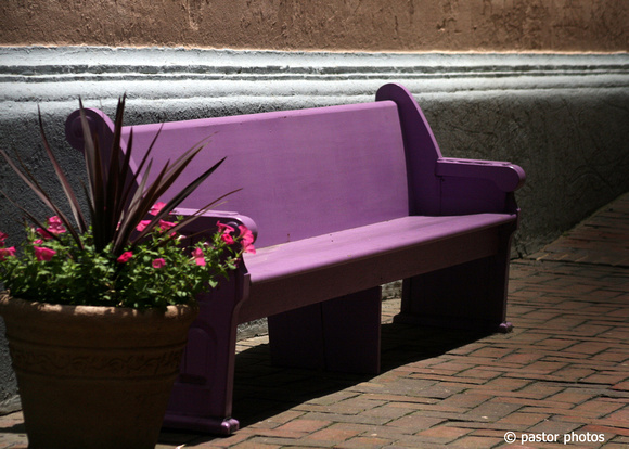 Purple Bench 0610