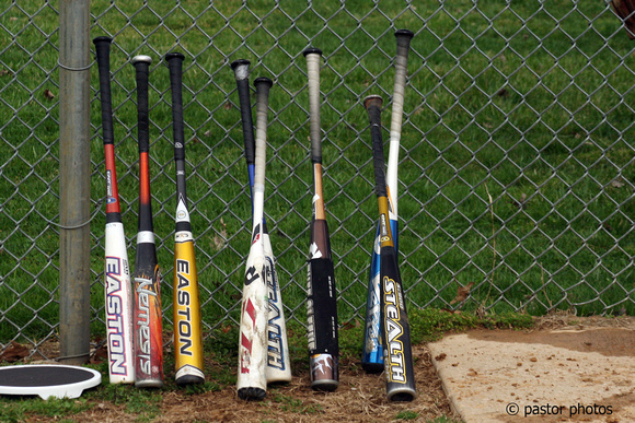 0325 Baseball Bats