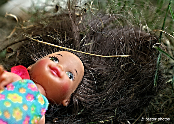 0705 Little Doll Lost