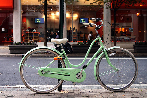 298 - Oct. 25th - Electra Green Bike