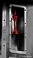 2010 ~ Photo-a-Day