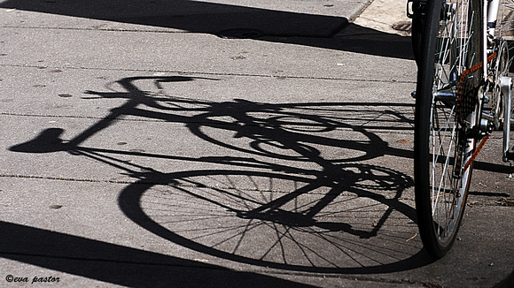 052 - Feb 21st - Bike Shadow