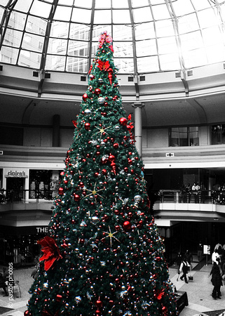 1208 ~ Mall Christmas Tree