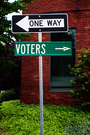 Monthly Theme (Humor) ~ May 2010 ~ Voter Conundrum